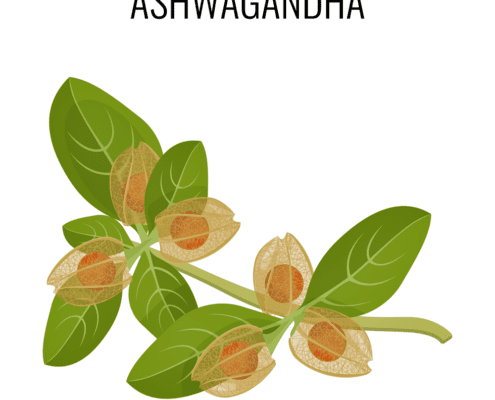 Ashwagandha KSM-66 - ce este, beneficii, efecte, studii, administrare