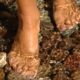 Terapia Kneipp Metoda Kneipp